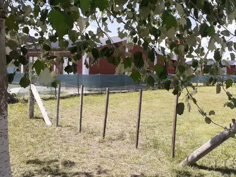 Terreno en Venta en Domselaar, USD 12.500