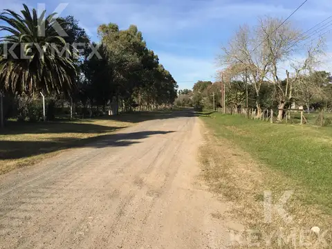 Carlos pellegrini y Diagonal 7 de Noviembre