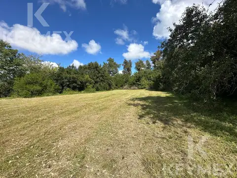 Terreno en Venta en Chascomus, USD 88.000