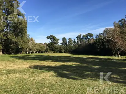 Carlos pellegrini y Diagonal 7 de Noviembre