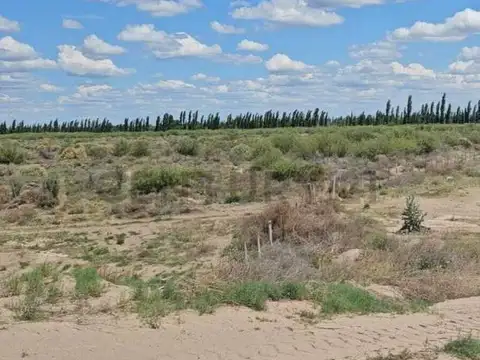 VENTA DE CAMPO EN SAN RAFAEL 487HA OPORTUNIDAD. ID: 311729