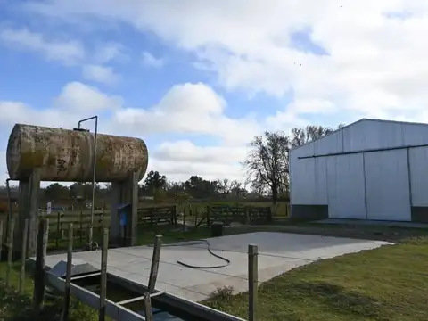 FEEDLOT EN ALQUILER – RUTA 7 KM 87 – LUJAN