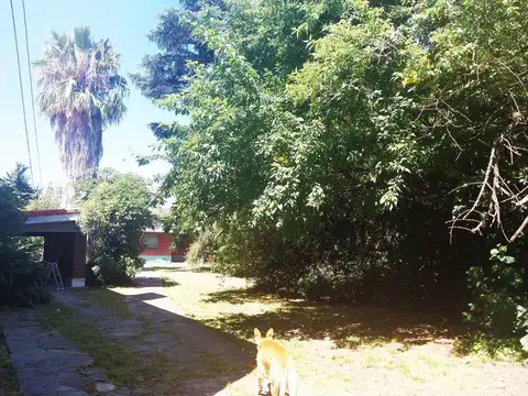 Hipólito Bouchard 600