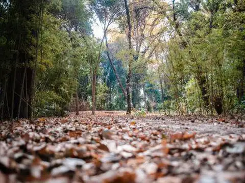 Terreno en Venta en Rodeo Del Medio, USD 17.000