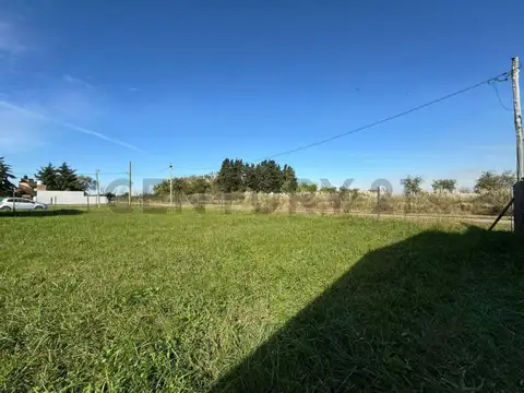 madre teresa 100, Piso 0