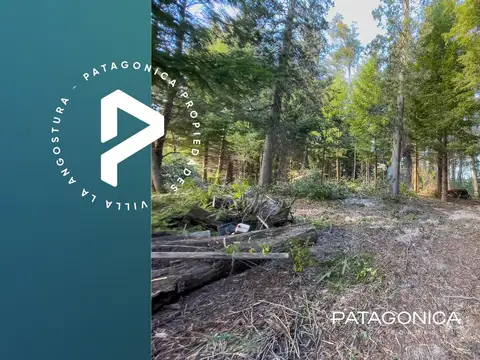 VENTA Lote 1714m2 UF 3 con costa sobre el Rio Bonito, proyecto aprobado. Altos de Manzano