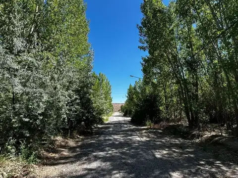 Terreno en Venta en Añelo, USD 55.000