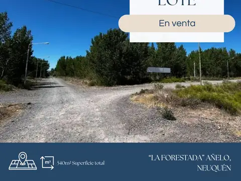 EN VENTA LOTE LA FORESTADA, AÑELO, NEUQUEN