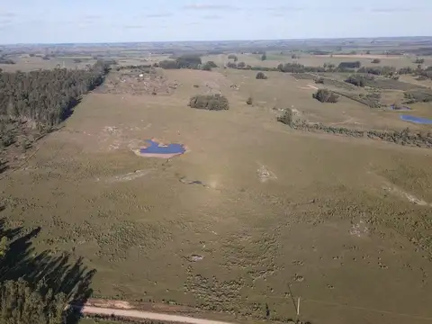 Quinta en Venta en Aigua, USD 85.000