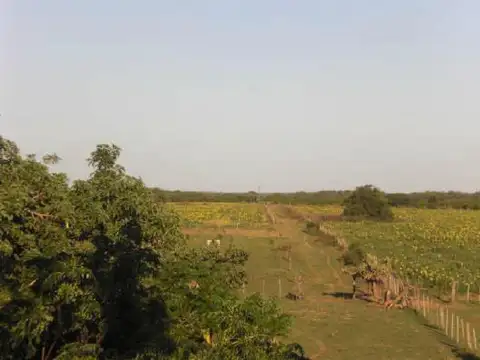 Campo en  Capivara