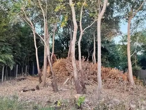 TERRENO EN VENTA CAMPANA