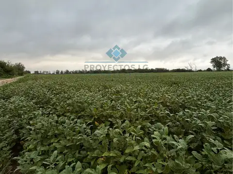 Quinta en Venta de 3 dormitorios