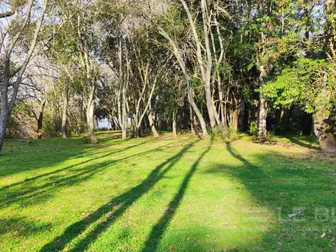 Venta Terreno de 5 HAS en Ruta 3 La matanza