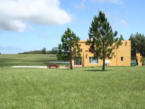 Camino vecinal 2 km desde el Camino Medellín