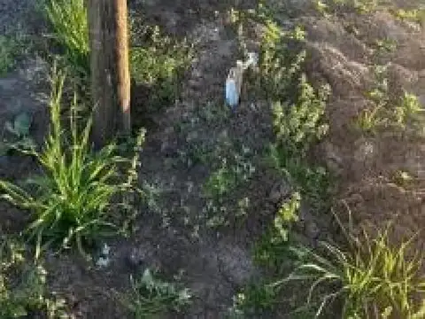 Terreno en venta - 280mts2 - Abasto, La Plata