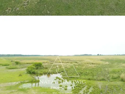 Venta Campo Ganadero