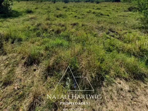 Campo en Venta Ganadero