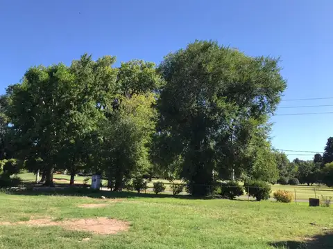 Terreno en Venta de 1770,0 m2