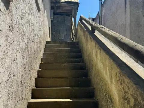 Palmas de la Pedrera  - La Pedrera - Rocha