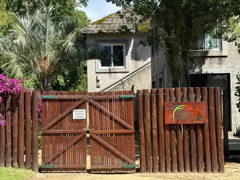 Palmas de la Pedrera  - La Pedrera - Rocha