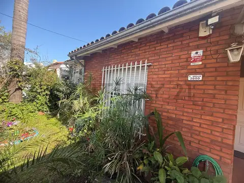 Defilippi 2000, Piso 0