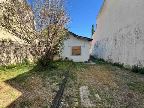 Alfonsina Storni 1700