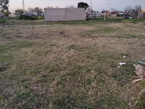 Madre Angelina Romero 600