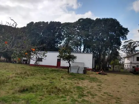 8 HECTÁREAS CON CASA EN VENTA CASTELLI