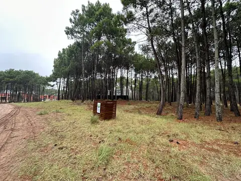 Terreno en Venta de 851,0 m2