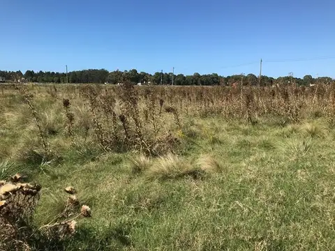 Terreno en Venta en Necochea, USD 20.000