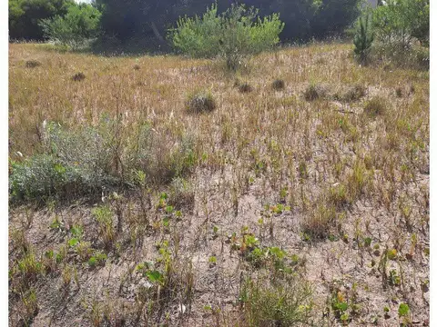 Terreno en Venta 19  mts Frente