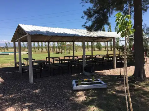 Local en Alquiler 7 años