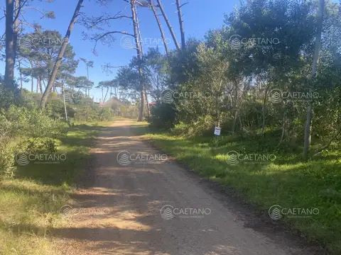 Terreno en Venta en Punta Ballena, USD 83.000