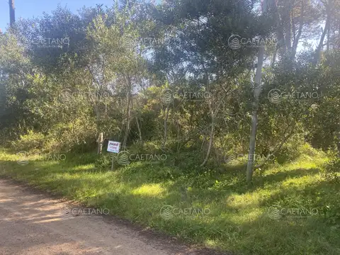 Venta terreno en Tio Tom. Punta ballena.