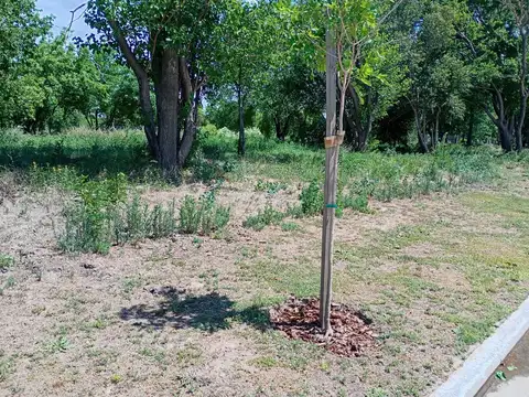 Nuevo Malagueño 200