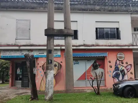 Casa + Local Comercial en venta – José Mármol