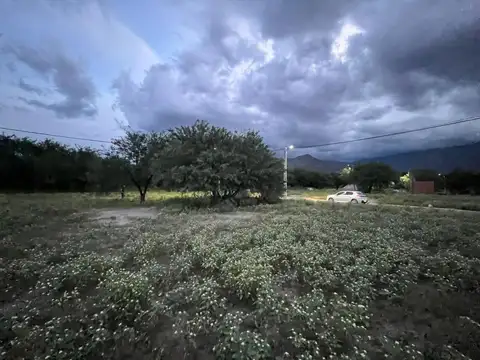 Terreno en Venta de 423,0 m2