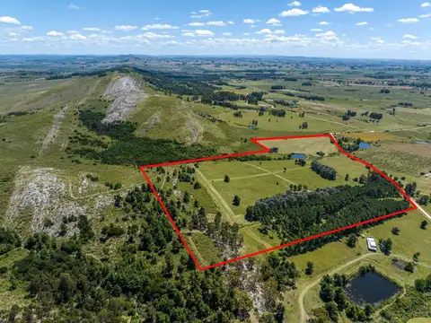 Chacra de 20 has. en venta en Laguna del Sauce 100