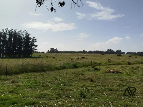 Oportunidad: Chara 5.4 de hectareas, en Ruta 104/Manantiales/Maldonado