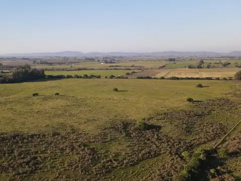 Ruta 8 y camino vecinal