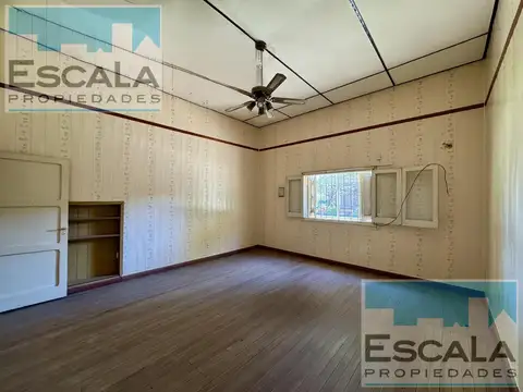 Francfort y 1º de Junio