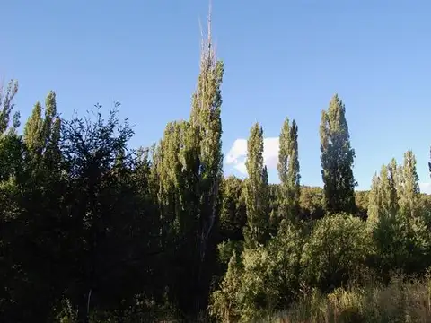 Terreno en Venta de 800000,0 m2