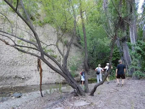 Terreno en Venta en Epuyen, USD 450.000