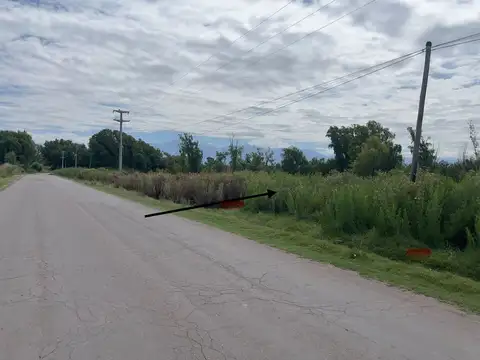 LOTE EN VENTA , LA CONSULTA , SAN CARLOS