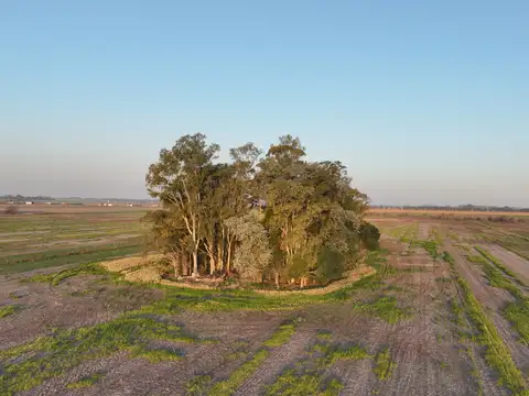 16 Has. Chacra en Venta sobre Ruta 193, Exaltacion de la Cruz