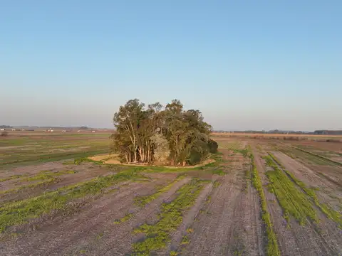 16 Has. Chacra en Venta sobre Ruta 193, Exaltacion de la Cruz