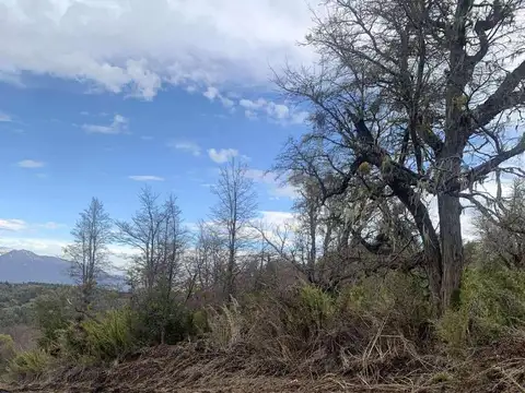 Oportunidad * Hermoso lote plano en Caleuche Bajo Mza. 98