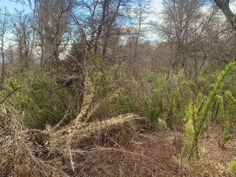 Terreno en Venta en Caleuche, USD 35.000