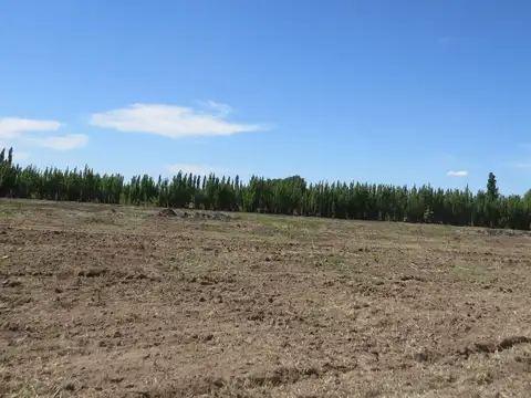 Terreno en Venta en Cervantes, USD 4.000