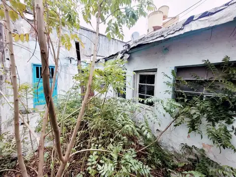 Alberto Einstein 800